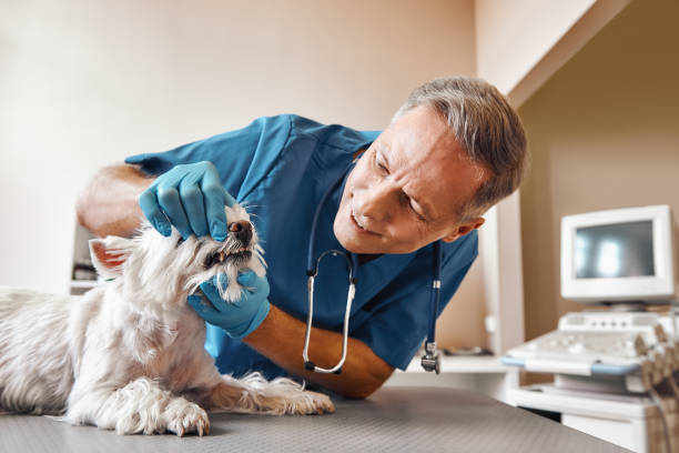 Best Emergency Dentist for Special Needs Patients in Montara, CA